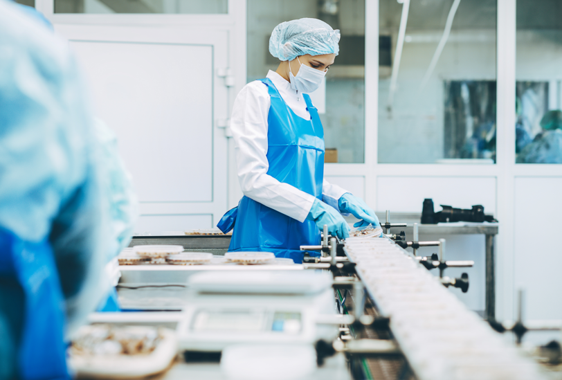 Employee at the production line (food industry) 