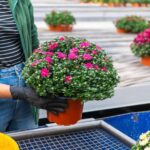 Flower greenhouse employee